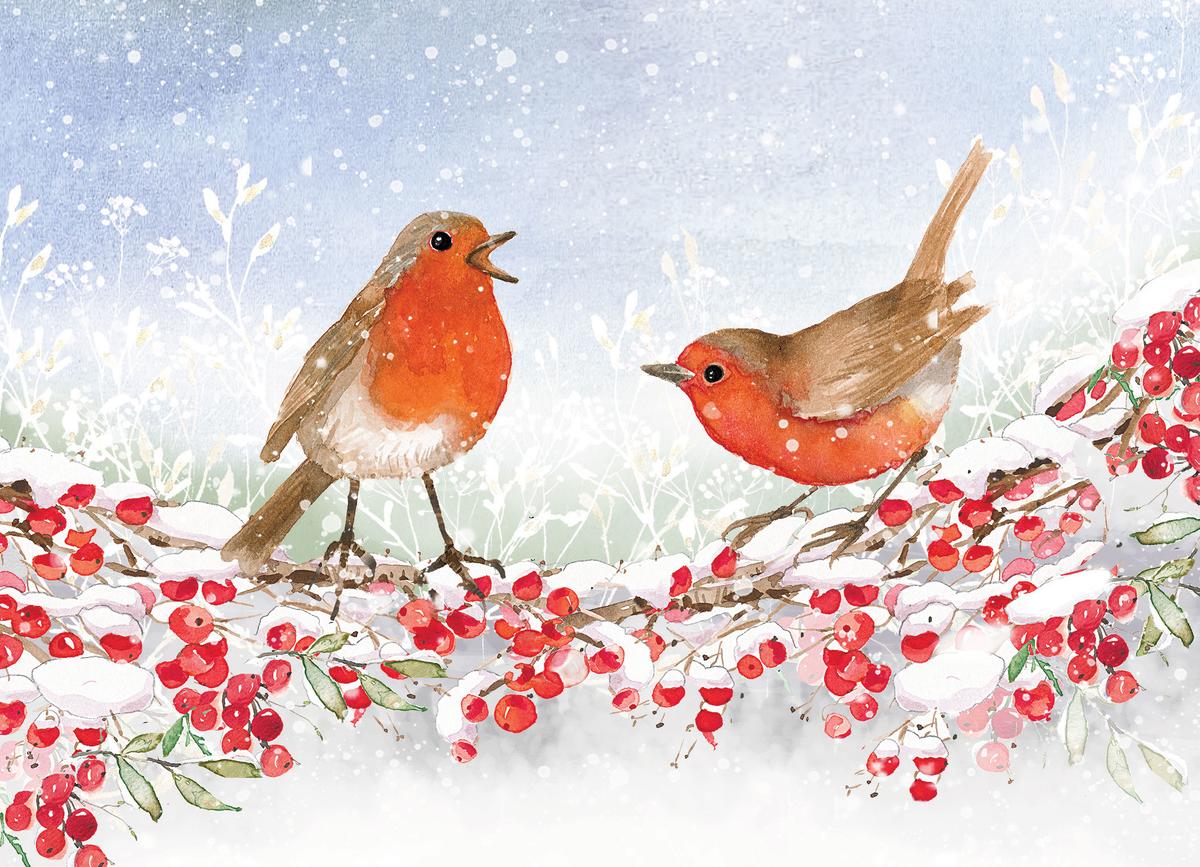 English Robins in Winter Deluxe Boxed Holiday Cards (20 cards, 21 self-sealing envelopes)