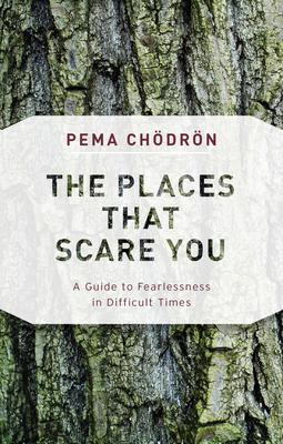 The Places That Scare You - A Guide to Fearlessness in Difficult Times