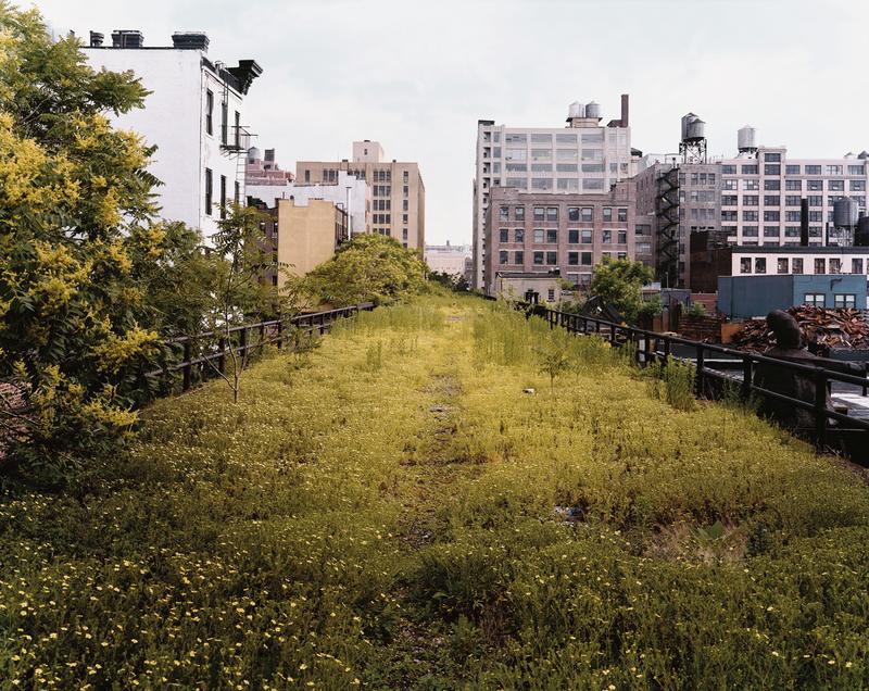 Books Are Magic | Joel Sternfeld