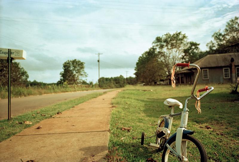 Capital Books | William Eggleston