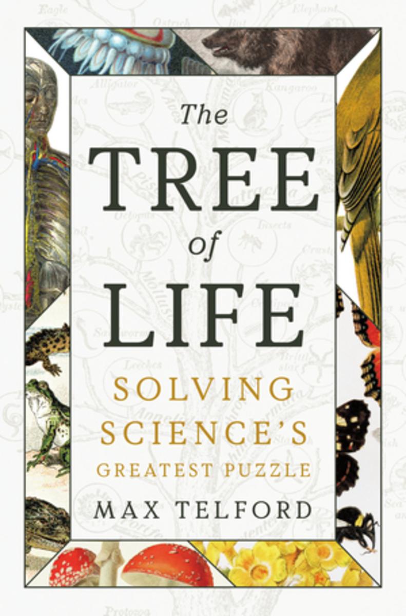 The Tree of Life by Max Telford | Avid Reader