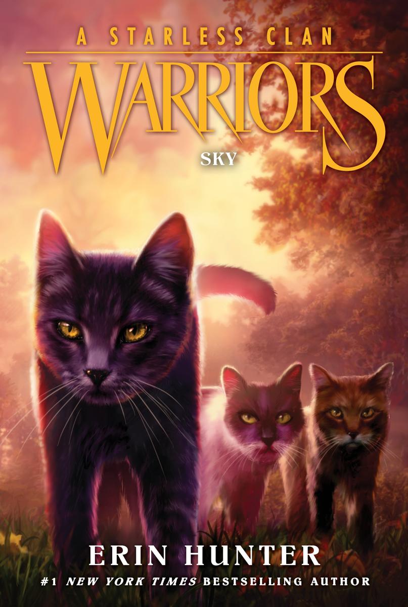 Warriors - A Starless Clan #2: Sky