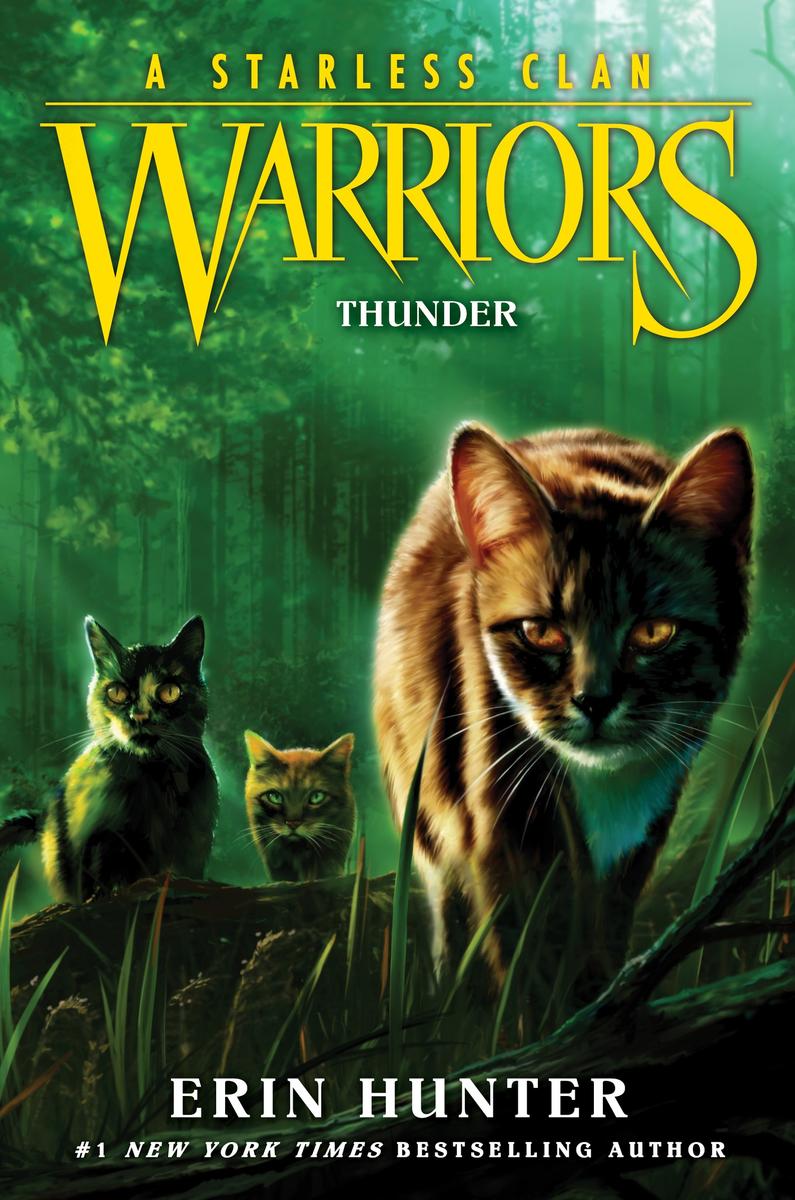 Warriors - A Starless Clan #4: Thunder