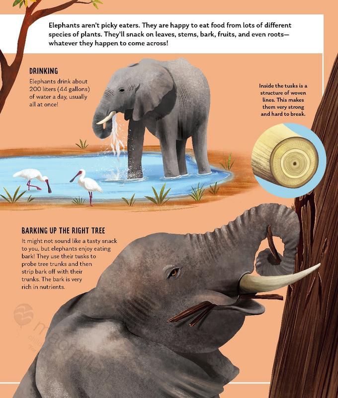 その他 The African Elephant: Twilight in Eden (National Audubon Society Book) The African Elephant: Twilight in Eden (National Audubon