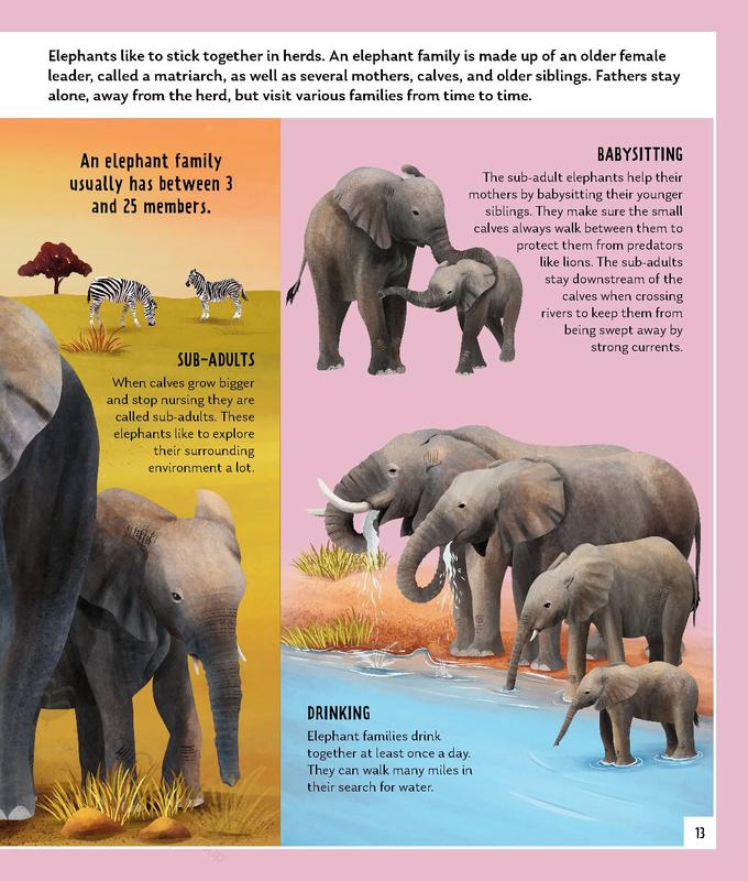 The Poisoned Pen | African Elephant (Young Zoologist)
