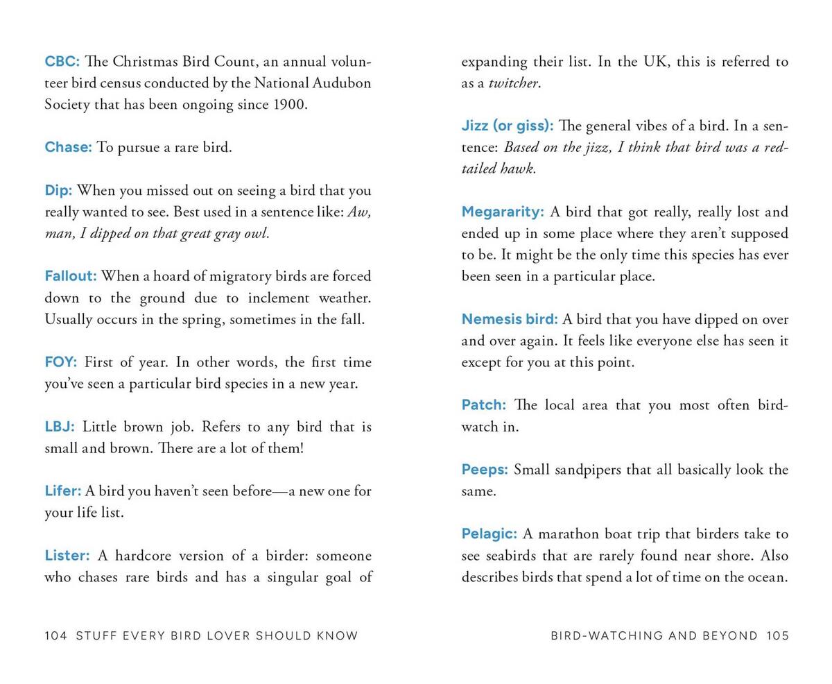 Stuff Every Bird Lover Should Know by Alice Sun | Audreys Books