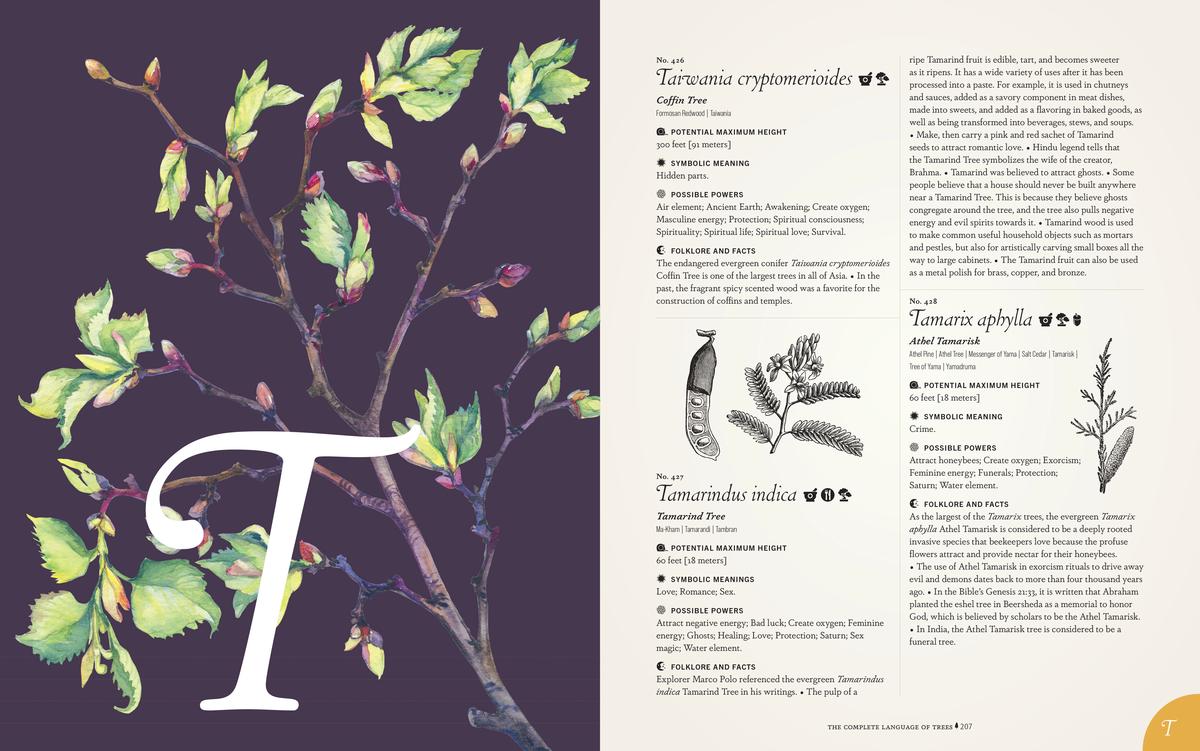 The Complete Language of Trees - Pocket Edition by S Theresa Dietz