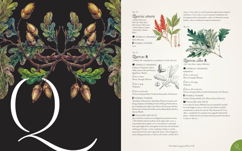 The Complete Language of Flowers by S Theresa Dietz | Mulberry