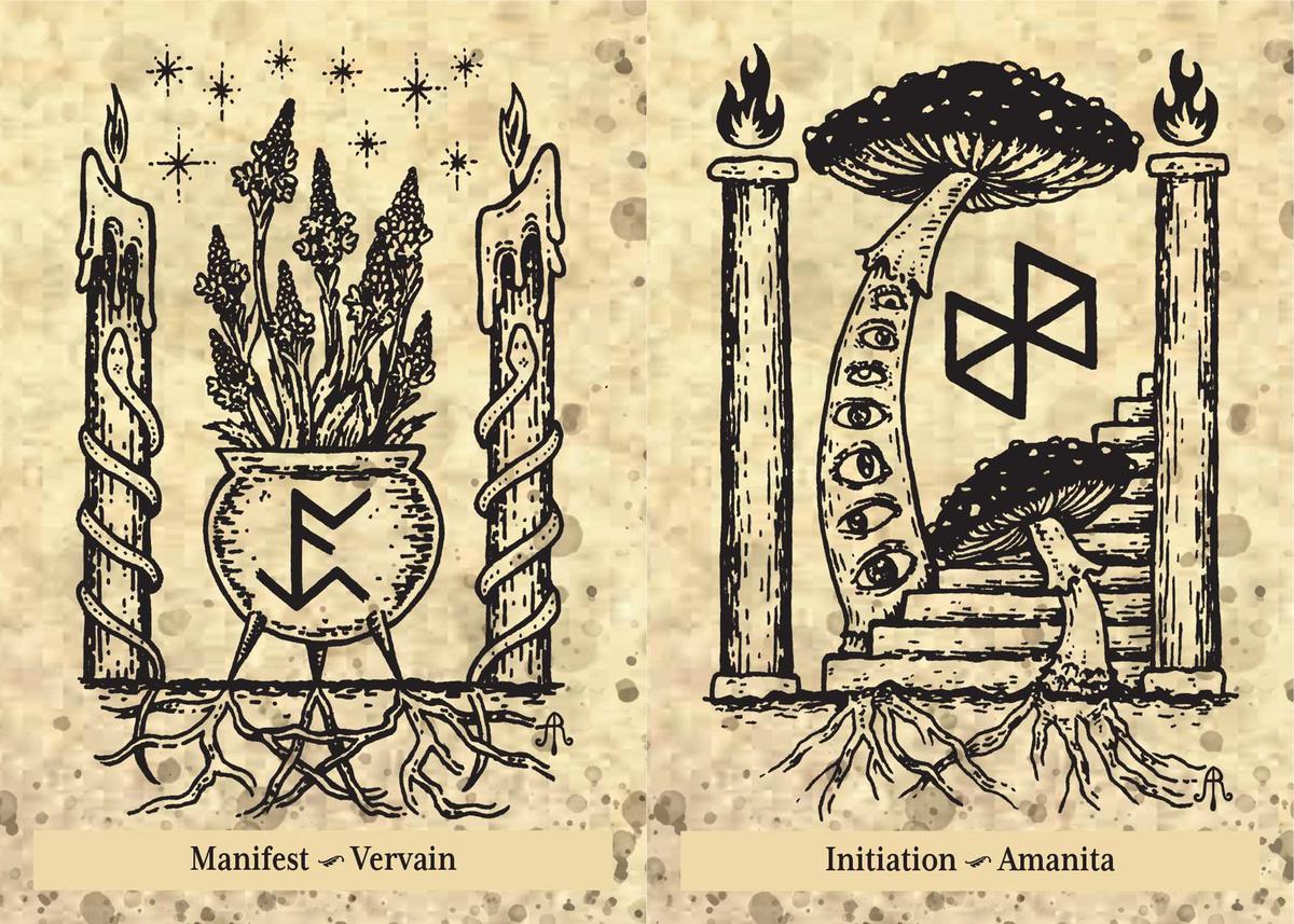 The Runes and Roots Oracle by Nicolette Miele, Adrienne Rozzi