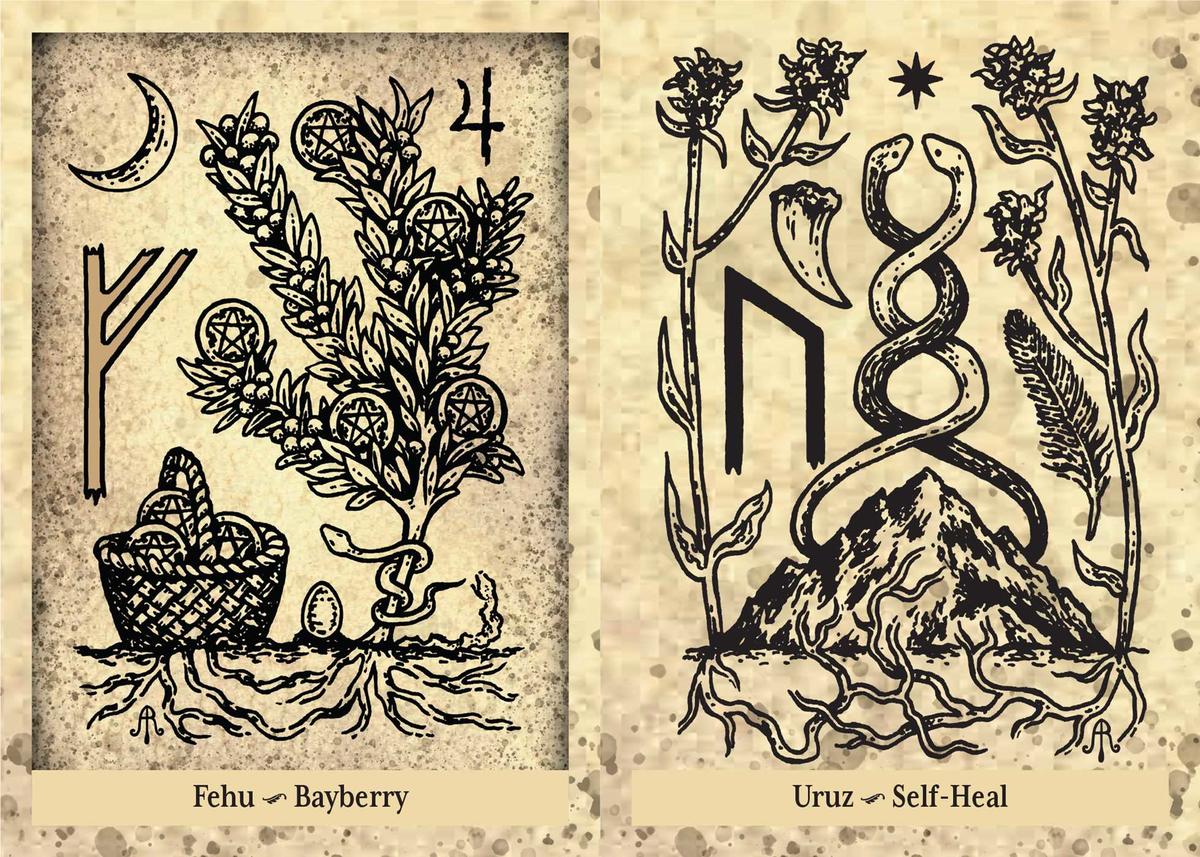Romantiek Roos Oorknopjes Alchemy Engeland Zwart Mooi Donker Gotische Alternative