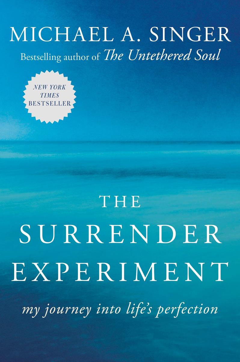 The Surrender Experiment - My Journey into Life's Perfection