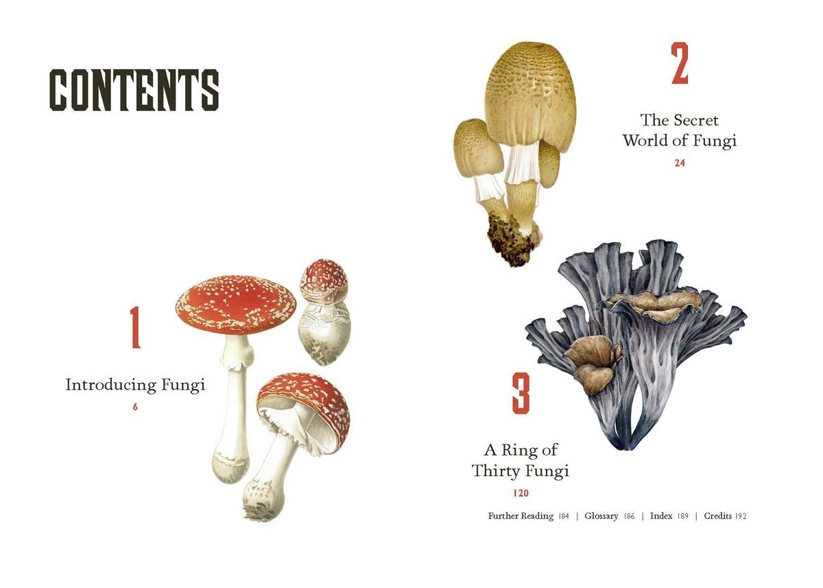 Fungi Decoded by Britt A Bunyard | The Book & Cover