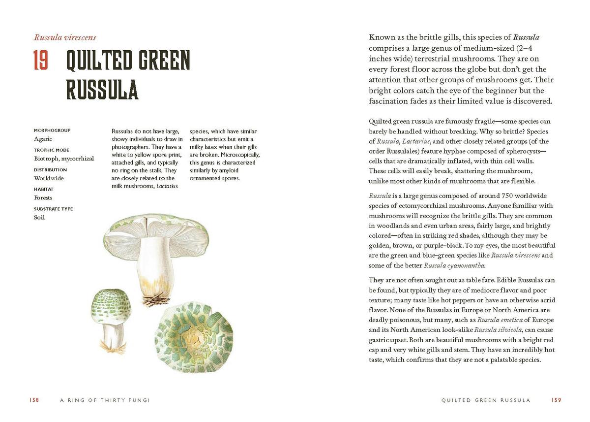 Fungi Decoded by Britt A Bunyard | The Book & Cover