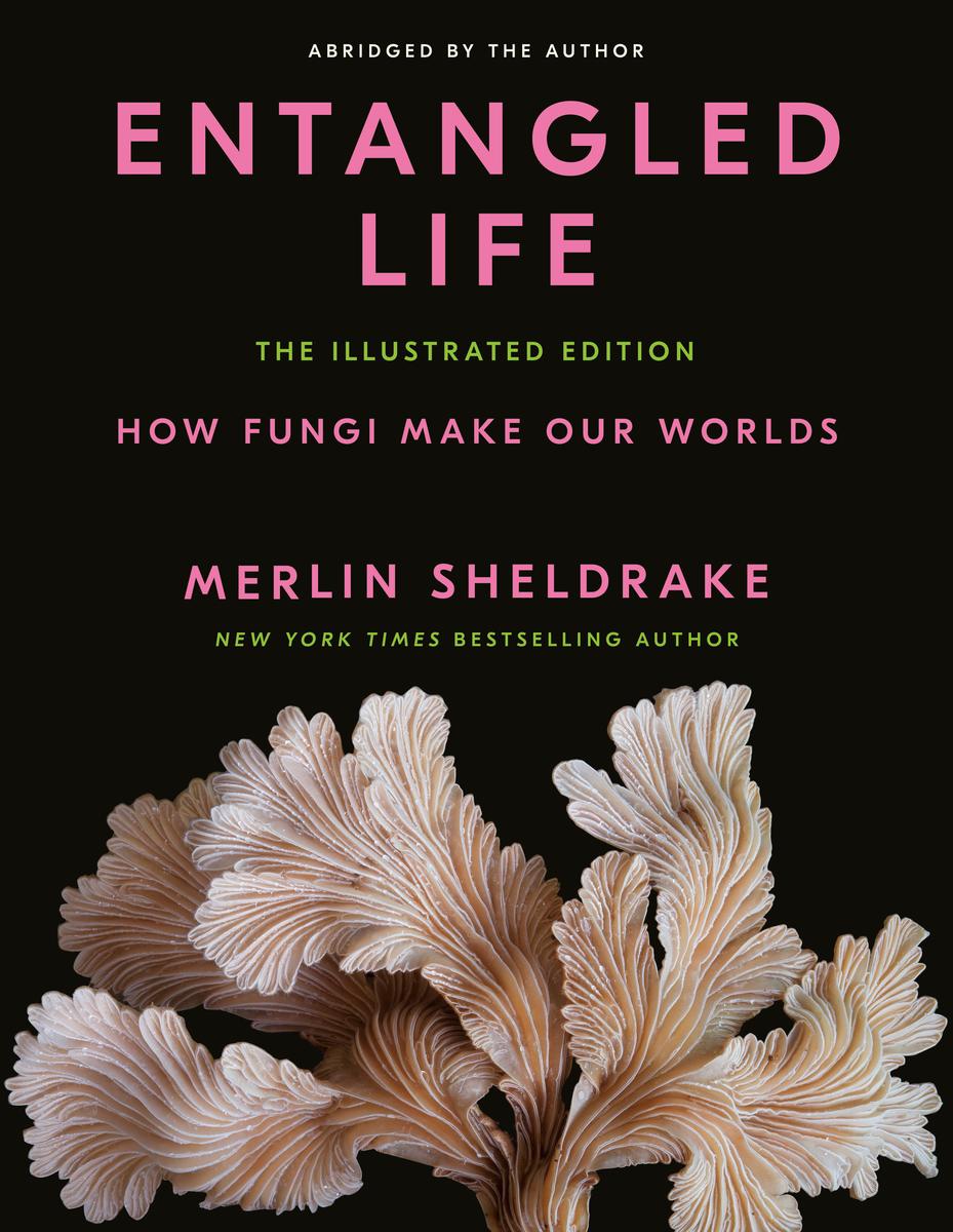 Entangled Life - The Illustrated Edition: How Fungi Make Our Worlds
