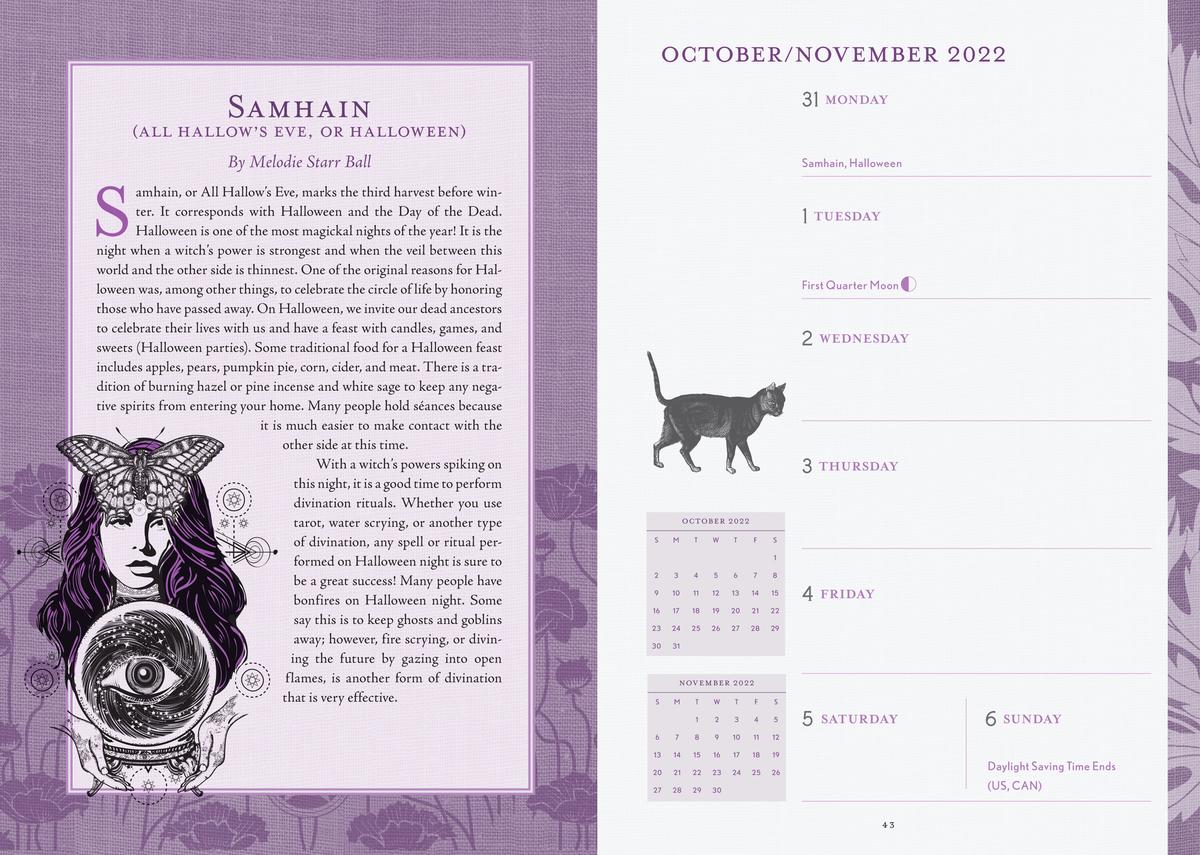 Zenith Bookstore | The Modern-Day Witch 2023 Wheel of the