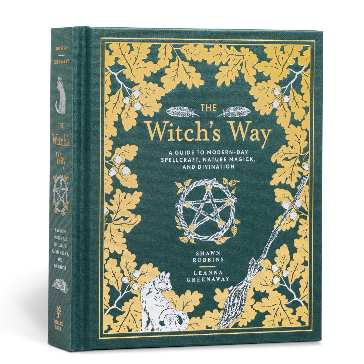 The Witch's Way by Shawn Robbins, Leanna Greenaway | Zenith Bookstore