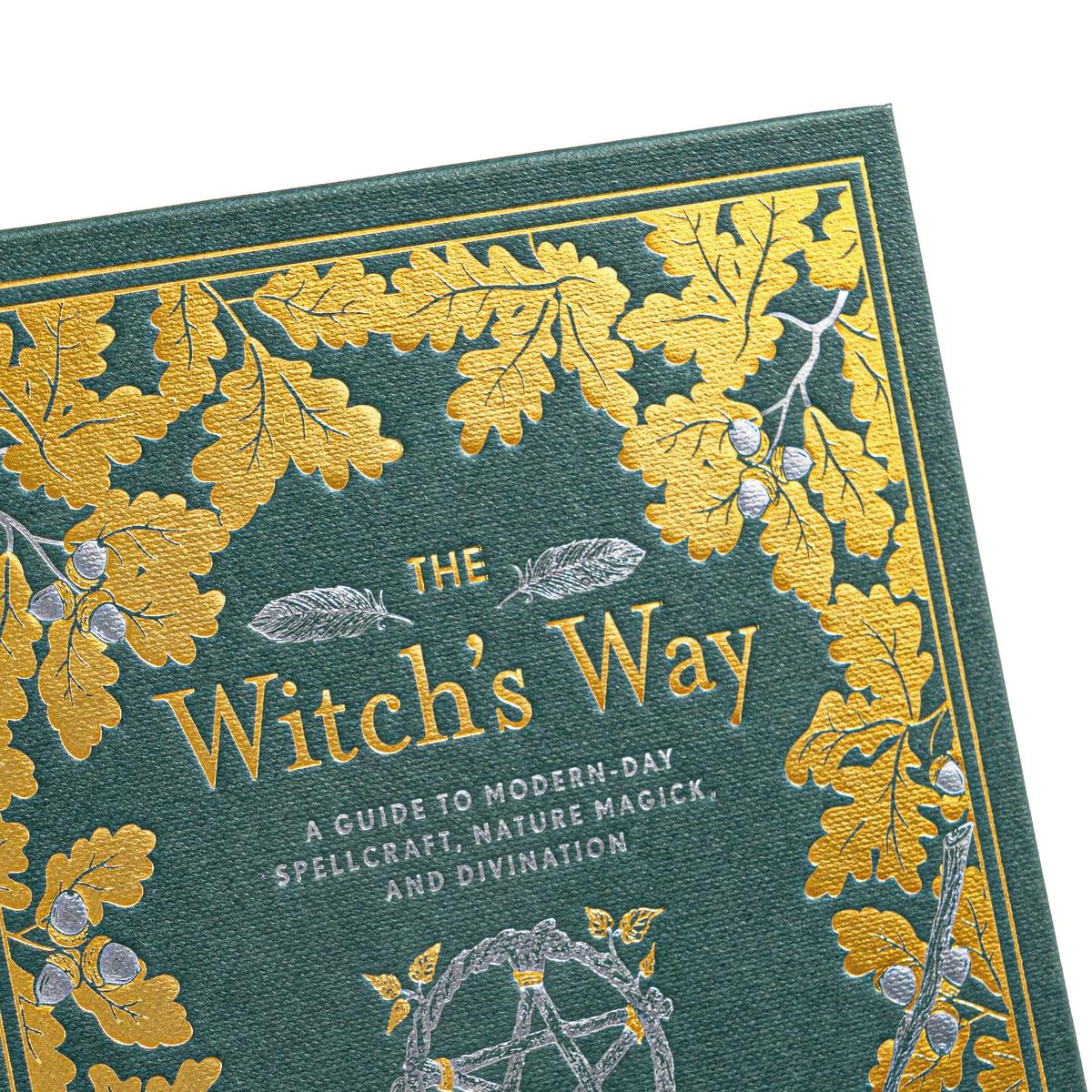 洋書スウィンバーンSwinburne Letters 全3巻完結セット The Witch's Way by Shawn Robbins, Leanna Greenaway | Zenith Bookstore