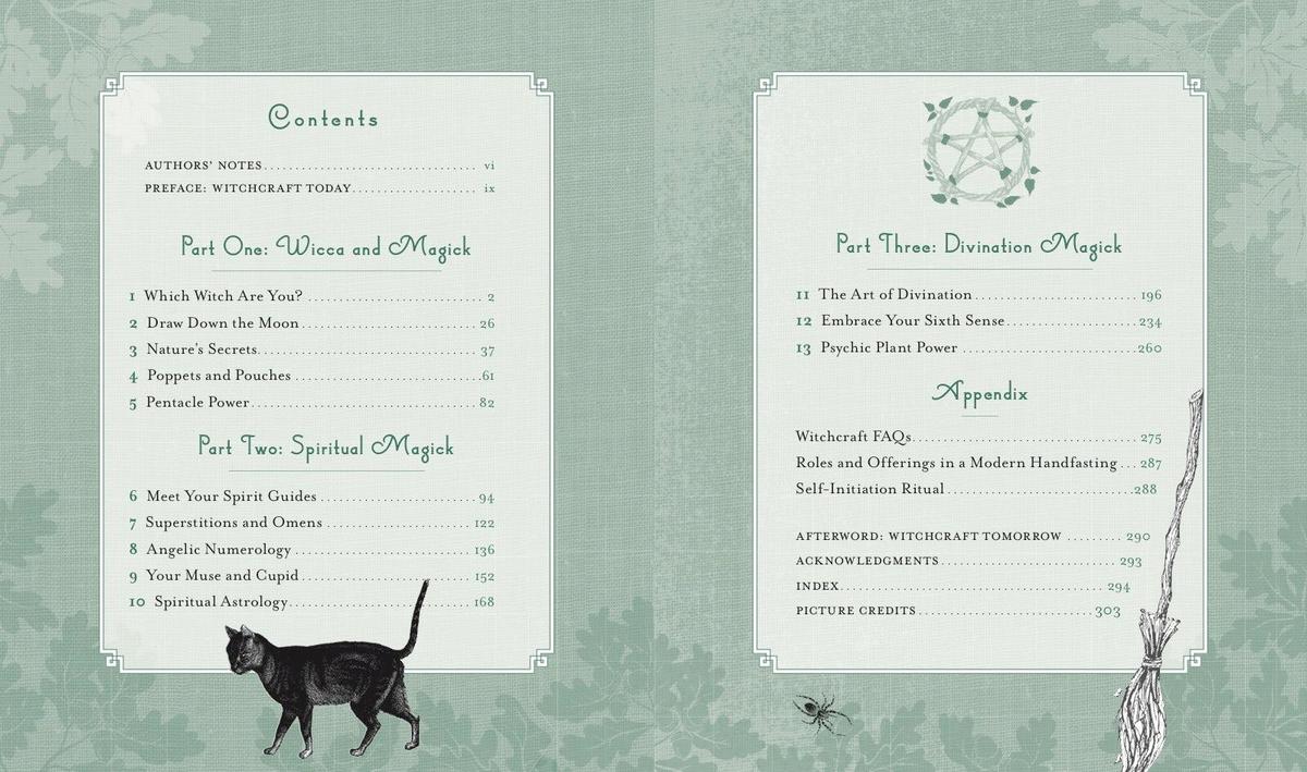 洋書スウィンバーンSwinburne Letters 全3巻完結セット The Witch's Way by Shawn Robbins, Leanna Greenaway | Zenith Bookstore