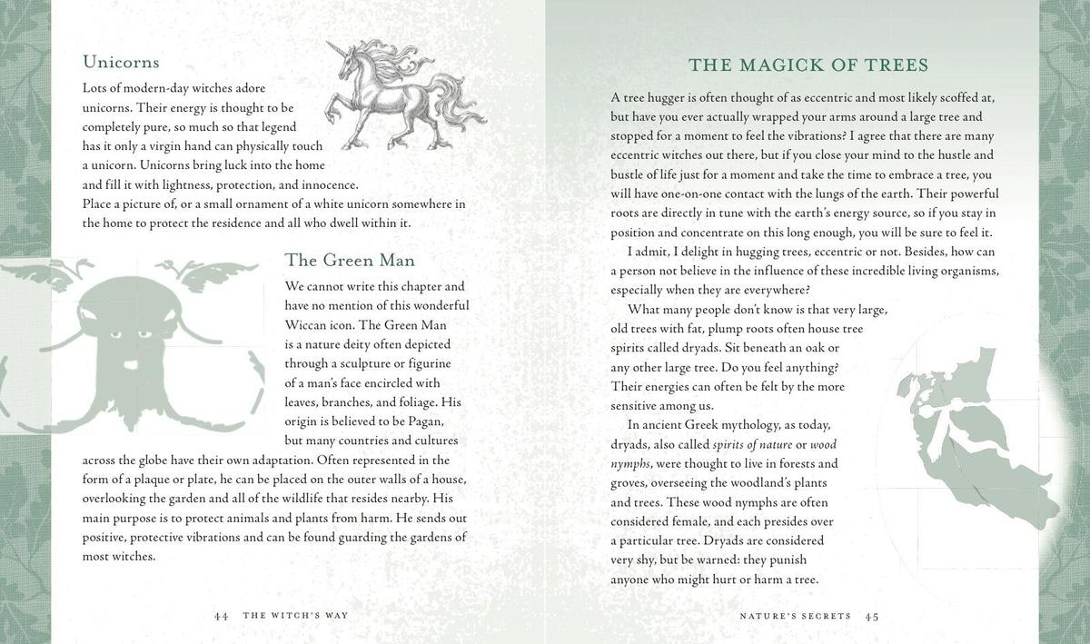 The Witch's Way by Shawn Robbins, Leanna Greenaway | Zenith Bookstore
