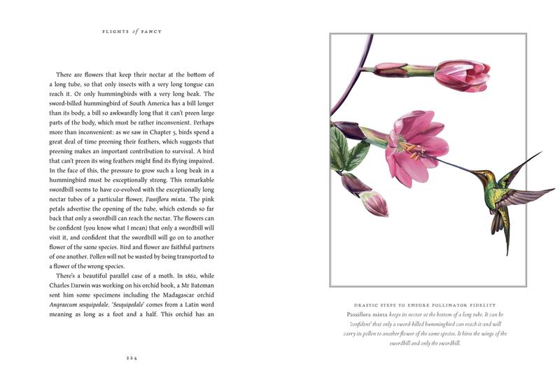 Flights of Fancy by Richard Dawkins, Jana Lenzova | Books Are Magic