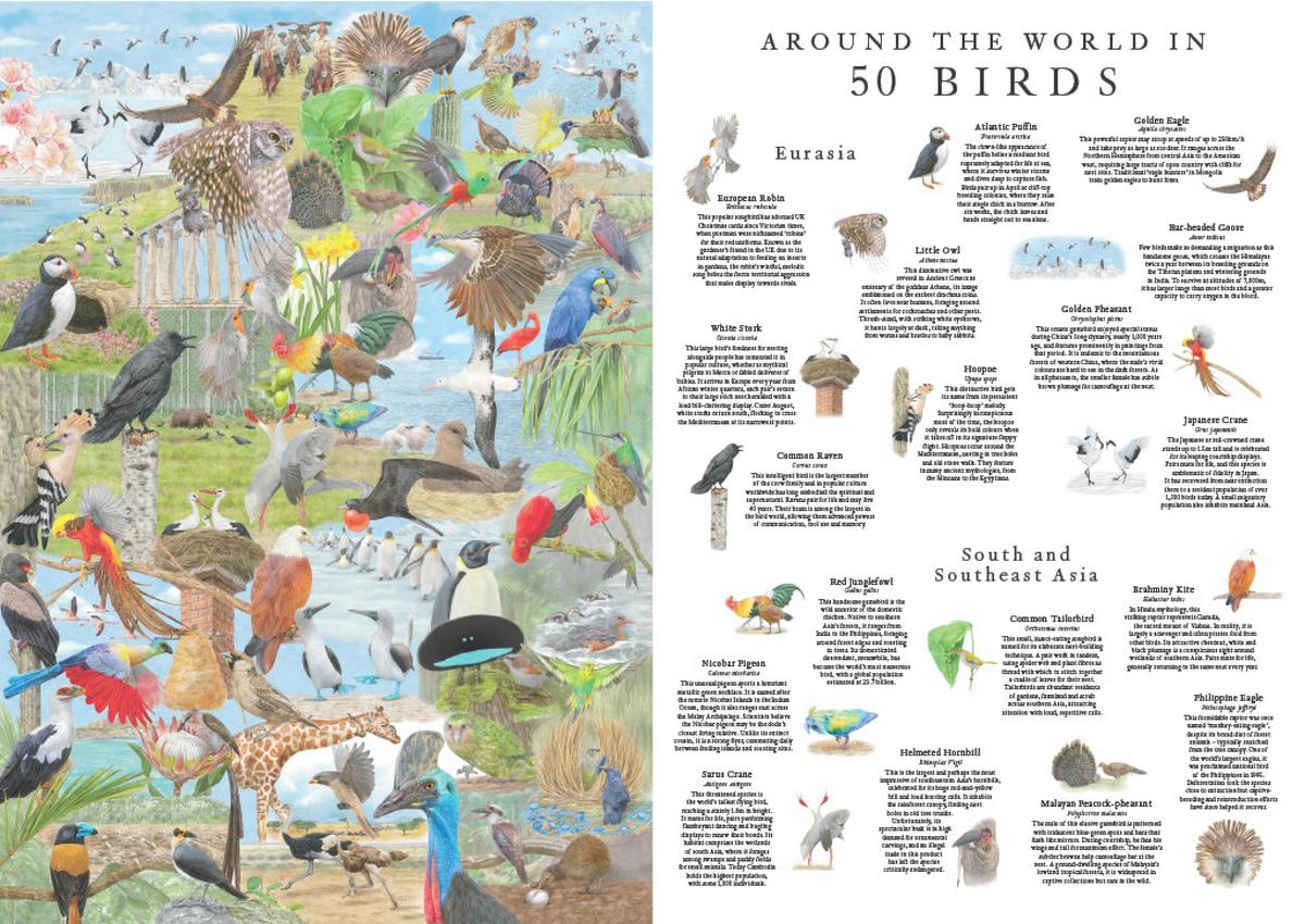 Around the World in 50 Birds 1000 Piece Puzzle by Ryuto Miyake