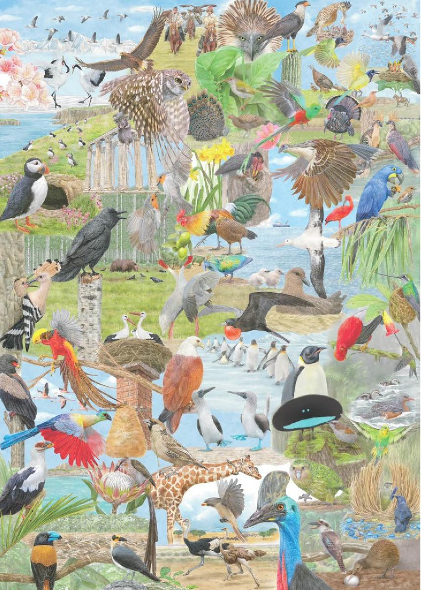 Around the World in 50 Birds 1000 Piece Puzzle by Ryuto Miyake