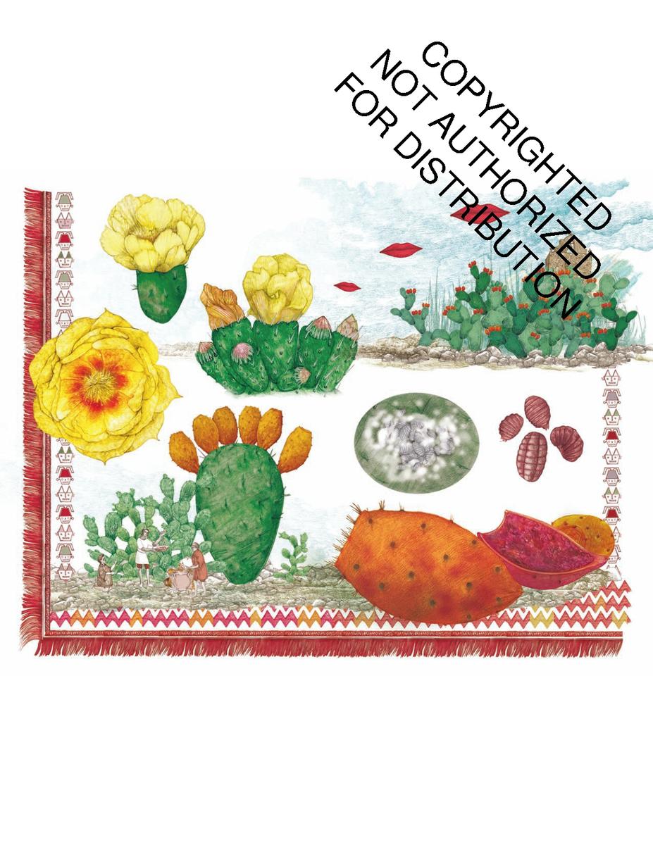 PLANTES SAUVAGES 256イラスト 洋書 Coloring Plants Used By Desert Indians - Color & Learn – Theodore