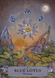 The Herbal Astrology Oracle by Adriana Ayales, Joséphine Klerks