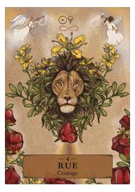 The Herbal Astrology Oracle by Adriana Ayales, Joséphine Klerks