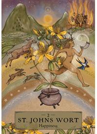 The Herbal Astrology Oracle by Adriana Ayales, Joséphine Klerks