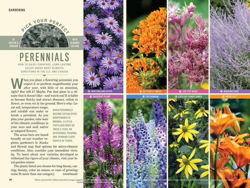 The Old Farmer's Almanac Premium Flower Garden Starter Kit with