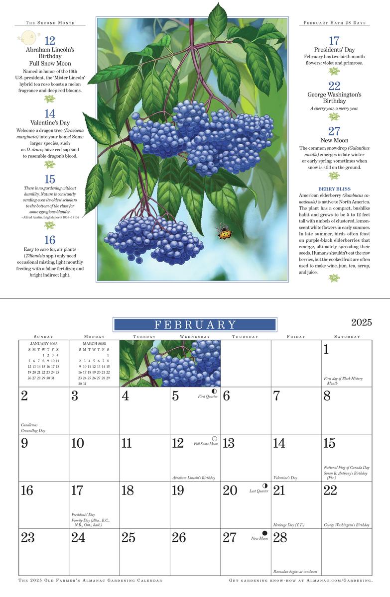 Banyen Books | The 2025 Old Farmer's Almanac Gardening Wall