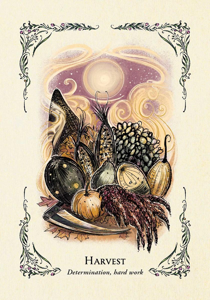 The Green Witch's Oracle Deck by Arin Murphy-Hiscock, Sara Richard