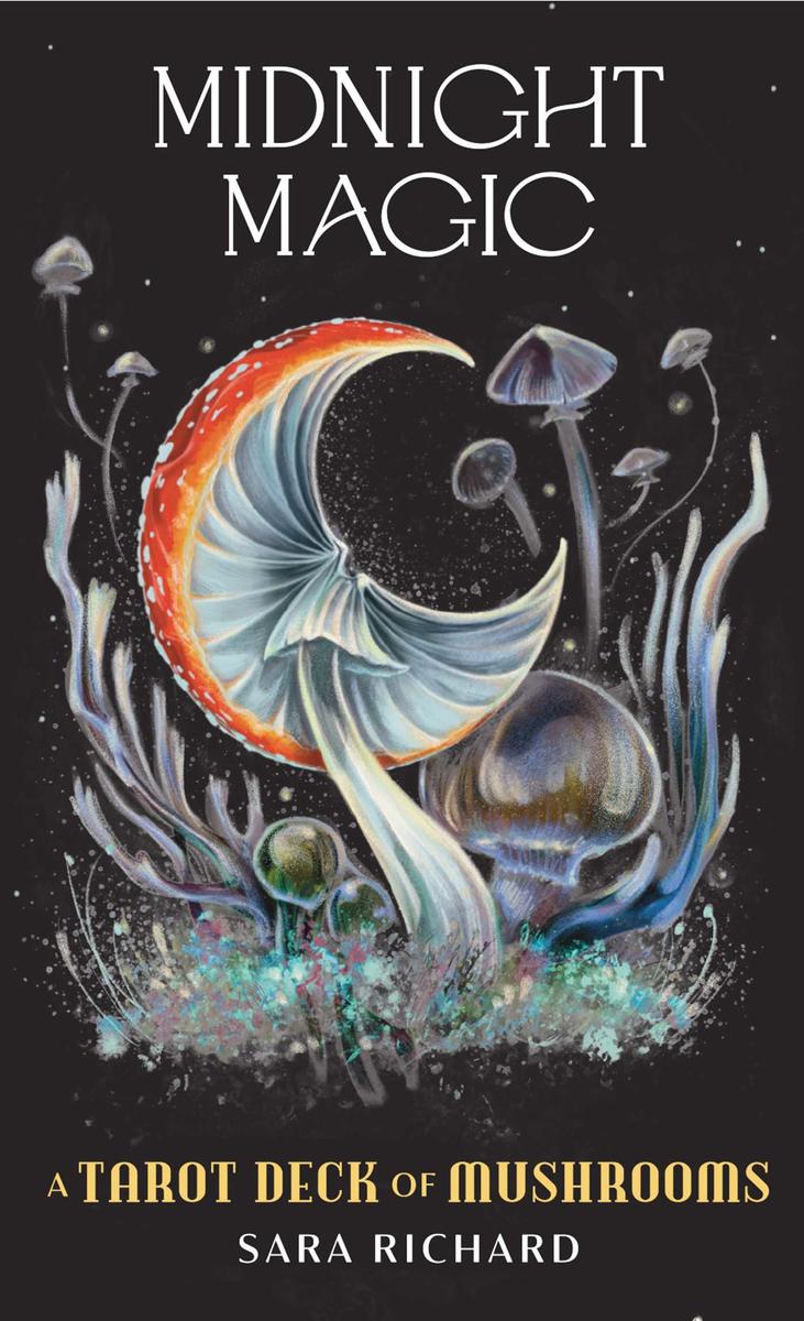 Midnight Magic by Sara Richard | Zenith Bookstore