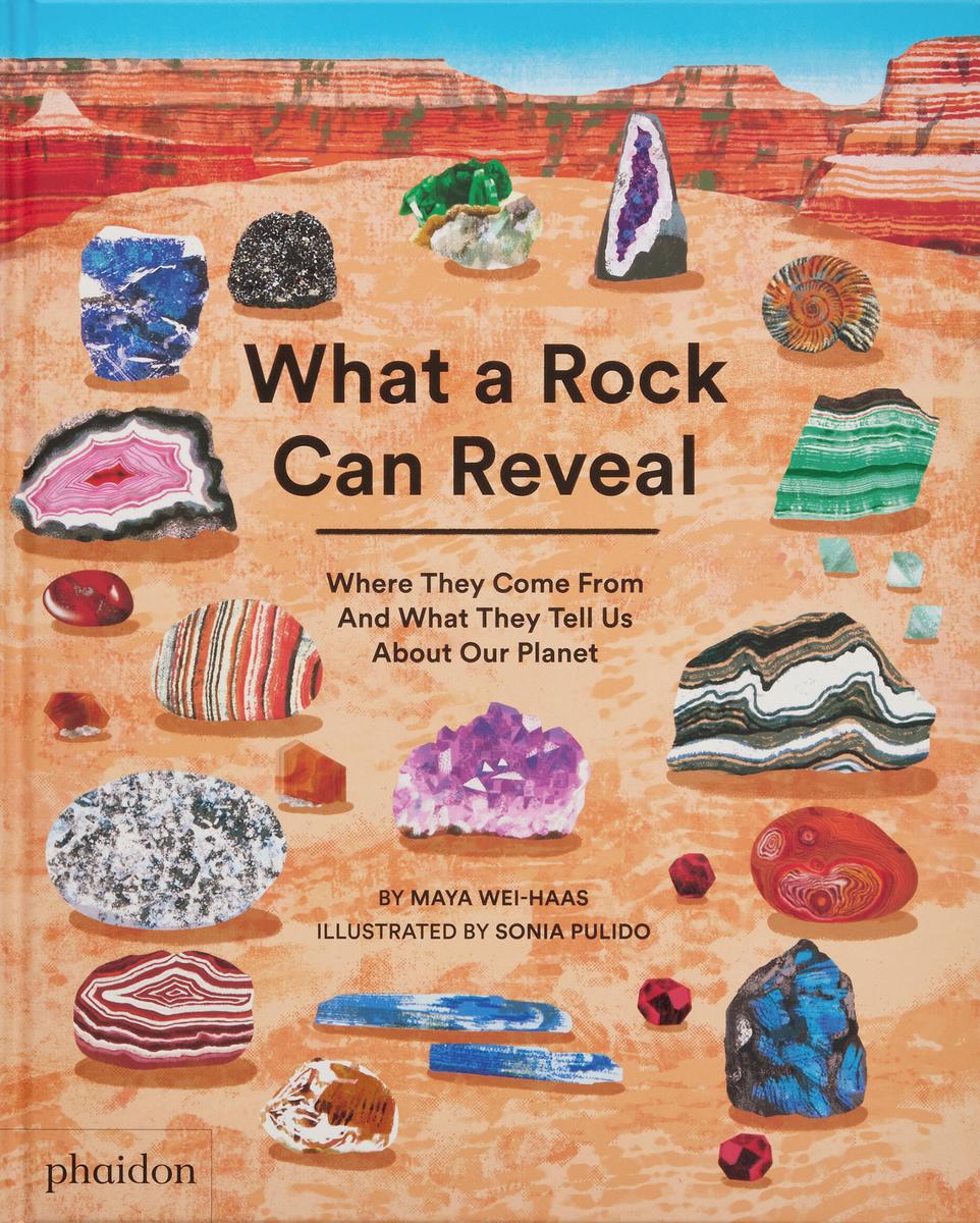 What a Rock Can Reveal by Maya Wei-Haas, Sonia Pulido | The King's