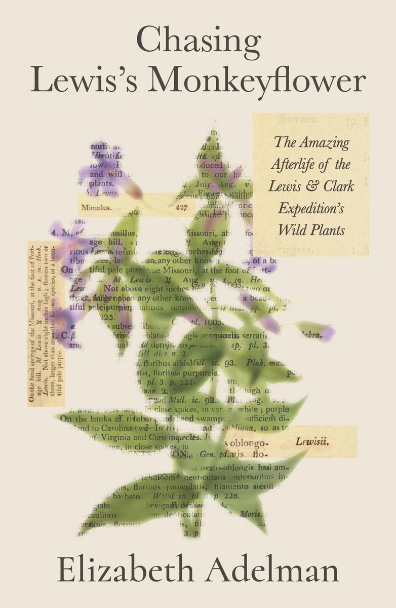Chasing Lewis's Monkeyflower: The Amazing Afterlife of the Lewis and Clark Expedition's Wild Plants