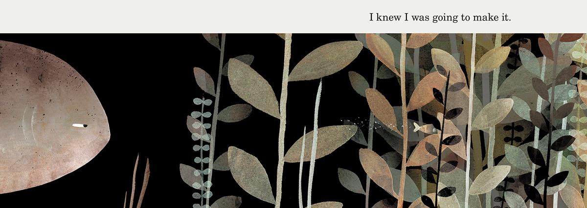 This Is Not My Hat by Jon Klassen | The Book & Cover