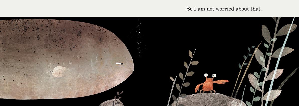 This Is Not My Hat by Jon Klassen | The Book & Cover