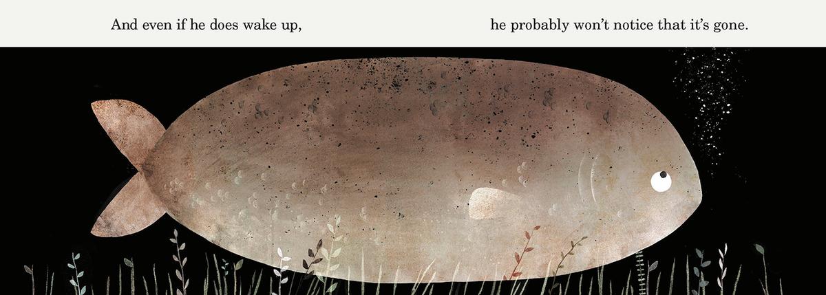 This Is Not My Hat by Jon Klassen | The Book & Cover