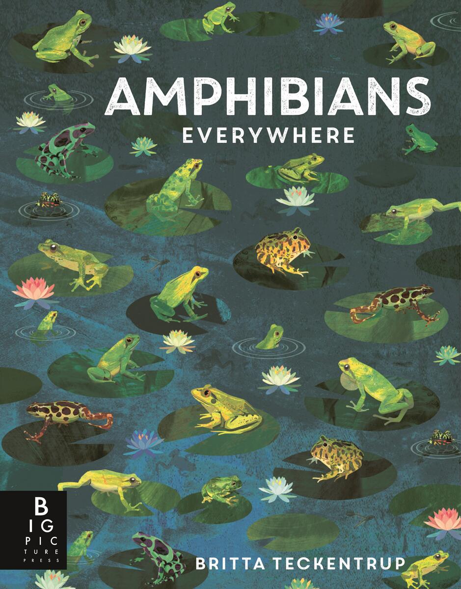 Amphibians Everywhere: (A Kids' Nonfiction Science and Nature Book About Frogs, Toads, Newts, Salamanders, and Habitats for Ages 6-9)