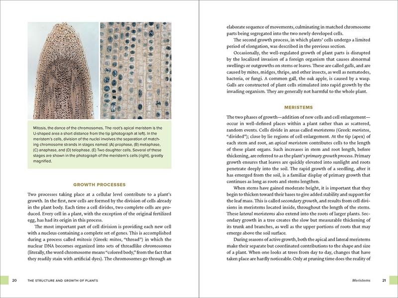 Botany for Gardeners, Fourth Edition by Brian Capon | Pages on