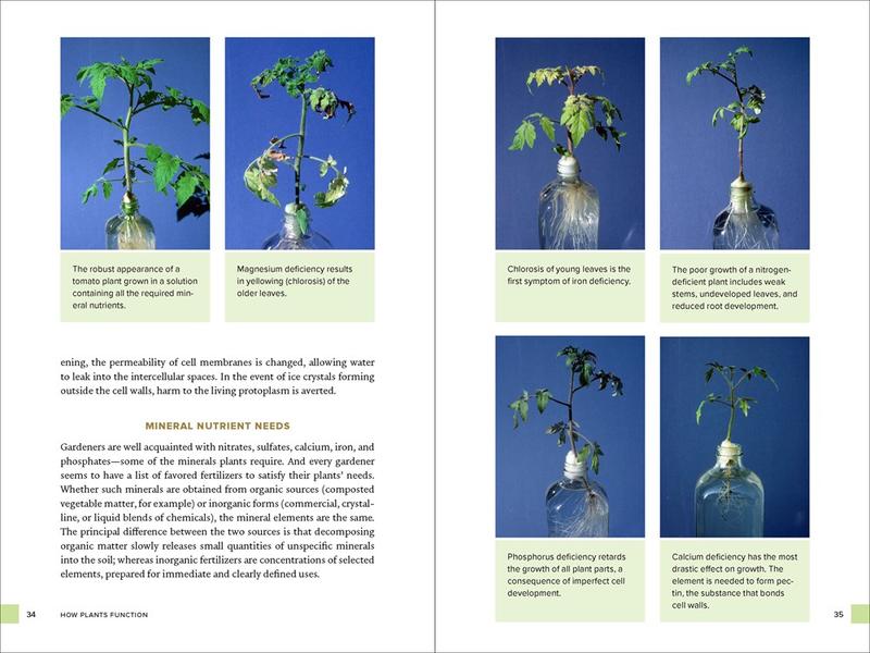 Botany for Gardeners, Fourth Edition by Brian Capon | Kramers
