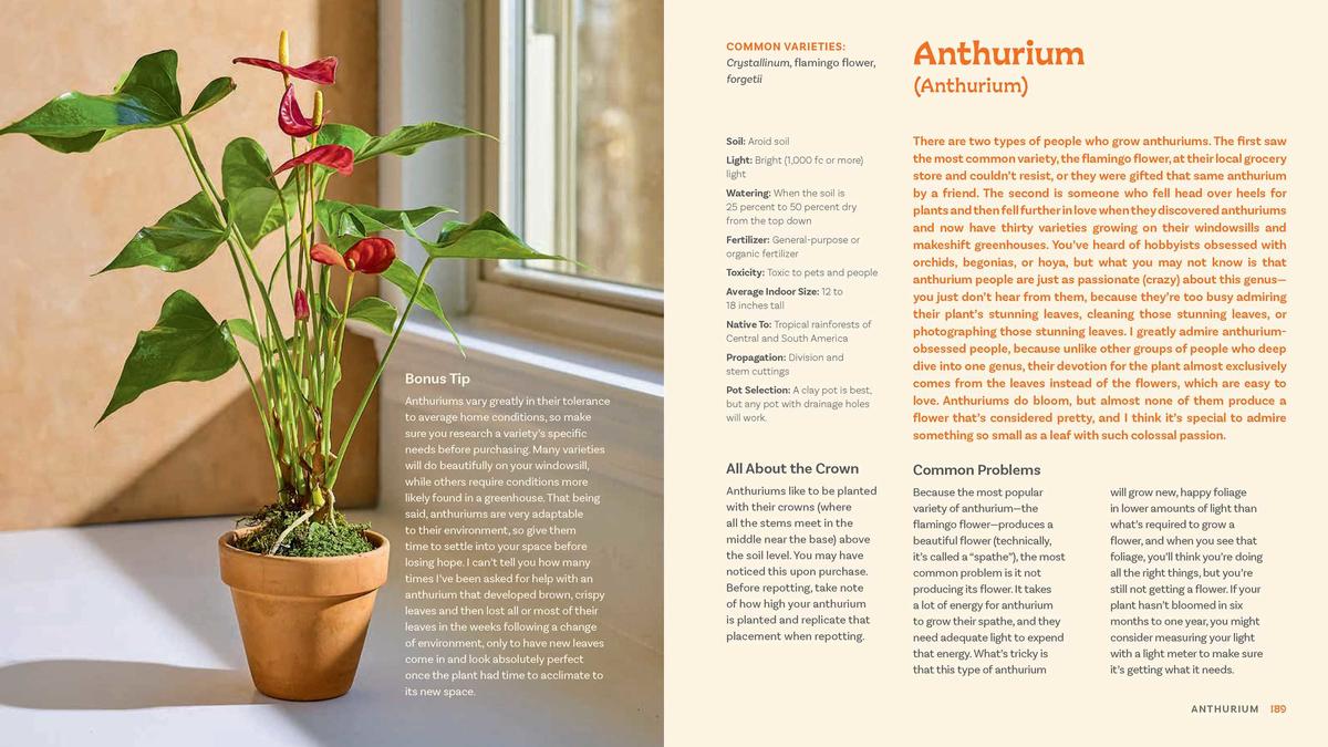 For the Love of Houseplants by Tanner Mitchell | City Lit Books