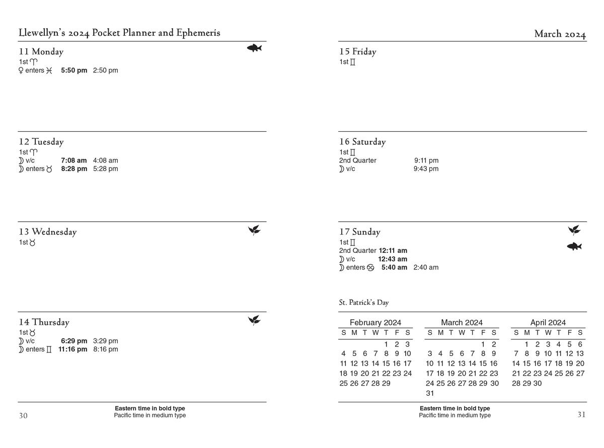 Llewellyn's 2024 Astrological Pocket Planner – Castle Brooks