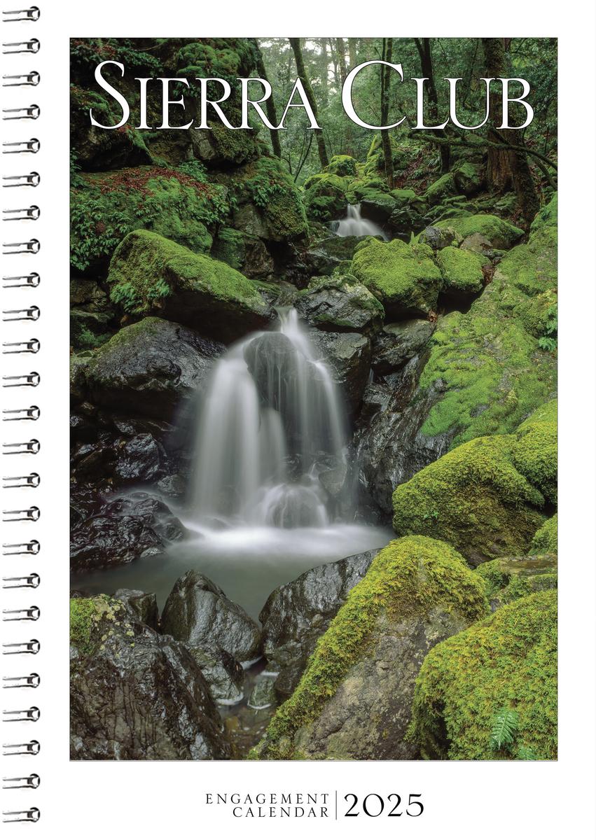 2025 Reservation Weeks Calendar Bookstore brier kellsie