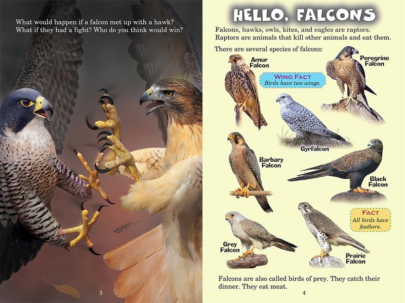 All About Falcon - How Is It Different From A Hawk?