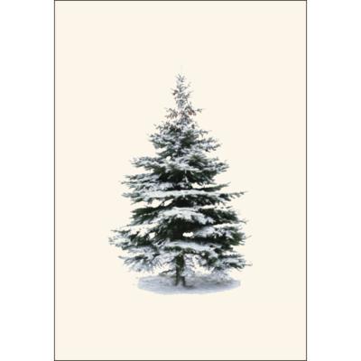 Boxed Notecards - Winter Spruce
