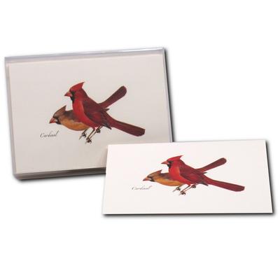 Boxed Notecards- Cardinal