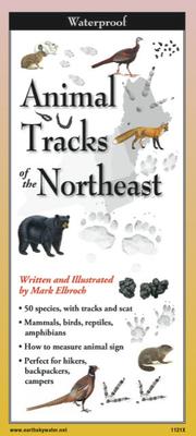 Animal Tracks of the Northeast