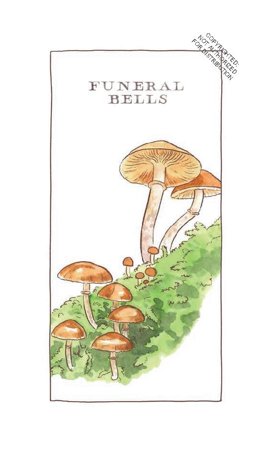 Mushroom Spotter's Deck by Megan Lynn Kott | Zenith Bookstore